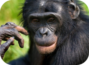 Zoo