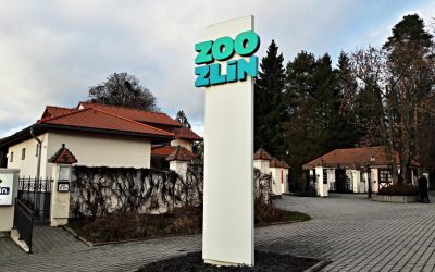 Зоопарки Чехии хотят сократить количество животных. Денег на их содержание не хватает