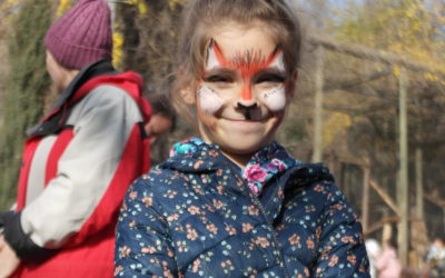 Как прошёл День лисы в “Кишинёвском зоопарке”