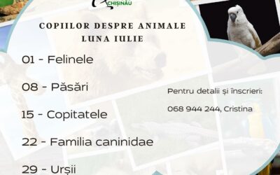 Grădina Zoologică din Chișinău vă invită la jocuri educative „Copiilor despre animale”