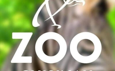 Известный блоггер рассказал о Кишиневском зоопарке.