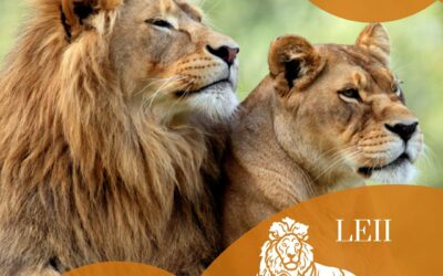 VĂ INVITĂM PE 12 AUGUST LA ORA EDUCATIVĂ A Grădinii Zoologice din Chișinău, ORA VA FI DEDICATĂ LEILOR!!