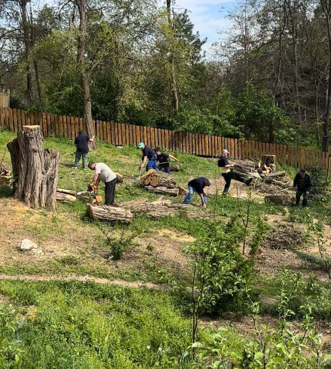 LA GRĂDINA ZOOLOGICĂ DIN CHIȘINĂU A AVUT LOC O CURĂȚENIE GENERALĂ ...