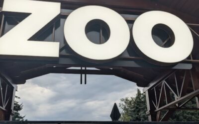 Luni, la grădina zoologică – ZI SANITARĂ: NU SE PRIMESC VIZITATORI!